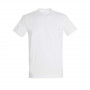 Tee shirt Imperial blanc grandes tailles