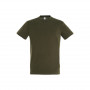 Tee-shirt homme Regent couleur