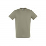 Tee-shirt homme Regent couleur