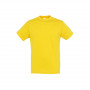 Tee-shirt homme Regent couleur