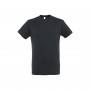 Tee-shirt homme Regent couleur