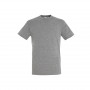 Tee-shirt homme Regent couleur