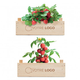 Coffret bois avec kit de plantation Bomled