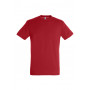 Tee-shirt homme couleur Regent