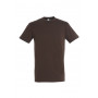 Tee-shirt homme couleur Regent