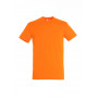 Tee-shirt homme couleur Regent