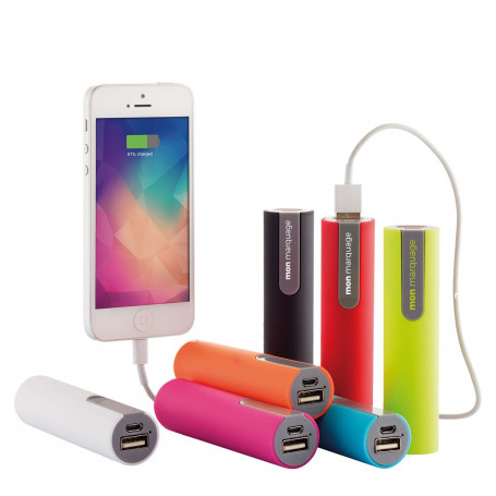 Batterie de secours Wesley 2200 mAh