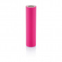 Batterie de secours Wesley 2200 mAh