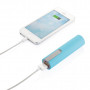 Batterie de secours Wesley 2200 mAh